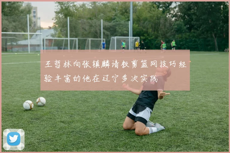 王哲林向张镇麟请教剪篮网技巧经验丰富的他在辽宁多次实践